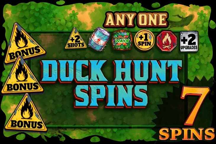 Duck Hunt Spins